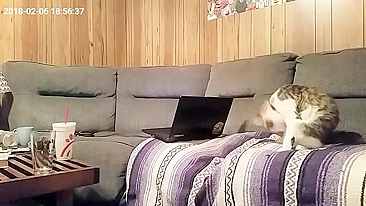 Esposa é pega se masturbando na câmera mesmo sem o marido