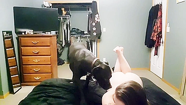 Garota peladinha dançando com o cachorro pra câmera escondida