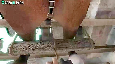 Cartoon 3D XXX - Vadia sexy Lara Croft derrotada por pau de cavalo