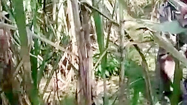 Cara e MILF indiana transam antes de serem pegos no flagra