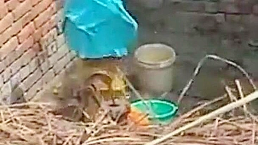 Indiana não tomaria banho se soubesse que foi pega no flagra