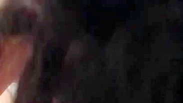 Gatinha iraniana amadora posa chupando o amante no vídeo