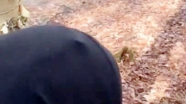 Vídeo porno ao ar livre de mãe árabe rabuda levando de quatro