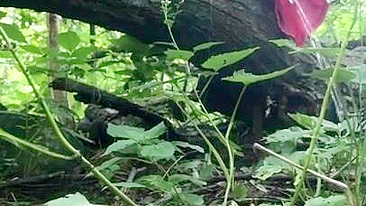 Vídeo amador árabe de mamãe sem vergonha mijando no mato