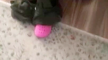 Beleza árabe sente pauzão árabe na buceta molhada e no cu