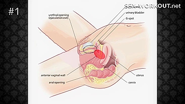 Aula de sexo do careca e ninfeta miúda no banheiro