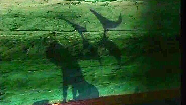 Batgirl Cavalga Pau em Pornô 3D - Ação Anime Quente!