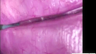 Hentai Anime Pega e Fodida por Monstros Aranha