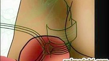 Travesti Careca Fode Boygirl em Cena 3D Anime com Dildo