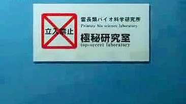 Macaco Arrebenta MILF Peluda na Cabeça Escura, Filme 3D