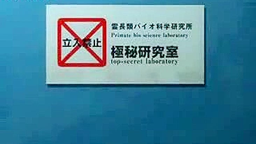 Macaco Arrebenta MILF Peluda na Cabeça Escura, Filme 3D