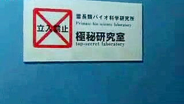 Macaco Arrebenta MILF Peluda na Cabeça Escura, Filme 3D