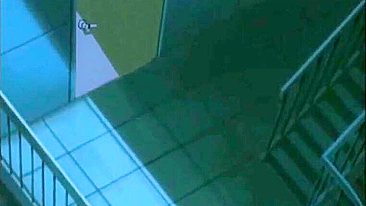 Hentai Japonês com Plugs no Cu Vibrando e Chupando Pau