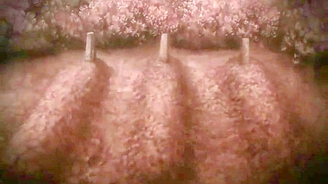 Japonesa Hentai Peituda Espanhola e Engolindo Porra - Peitões Grandes