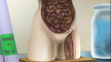 Shemale Toon Gozada em Anime Hentai