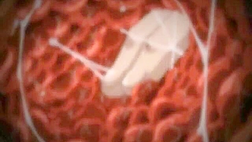 Enfermeira Japonesa de Anime Leva Consolo no Cu e na Buceta