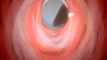 Universitária Enfiada com Brinquedo e Fodida Forte em Hentai Anime