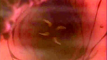 Travesti Anime em Orgia Hardcore Divertida