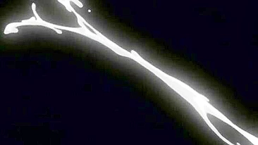 Hentai Japonesa Lambida e Fodida - Fantasia Anime Quente