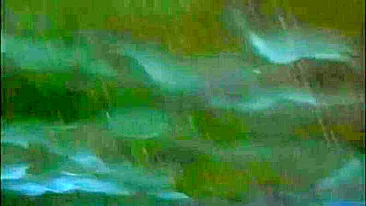 Vídeo Hentai Pornô - Pega em Orgia por Homens Mascarados