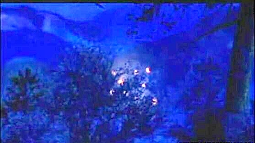 Hentai Japonesa Peituda Tem Buceta Peluda Chupada com Força