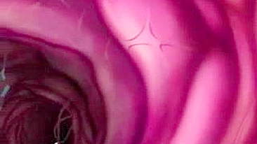 Tentáculos Fodendo Universitárias no Paraíso Hentai