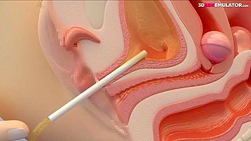 Ei, essa mina cavalga o pau e ainda fica fofa pra caralho, né?