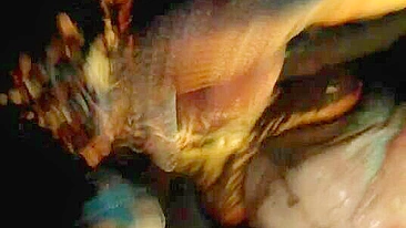 Garota de Dead or Alive com peitos naturais fode de lado até gozar forte