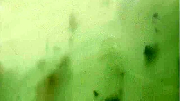 Shusaku 2 - Colegial gozando ao ser gravada na maior putaria