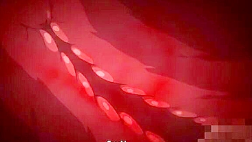 Essa cena é erótica pra caralho e super quente por causa disso