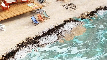 Enquanto goza pra você, as opções são todas bem safadas e porras