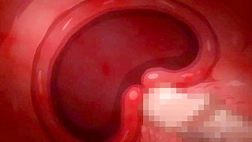 Trio hentai sexy com colegiais curvilíneas.