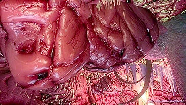 Curta Call of Cthulhu 2: Tentáculos, ovos e monstros insetos em cenas 3D de sexo hentai.