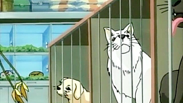 Guerreiro hentai em suruba louca com gata felina e anjo safado.