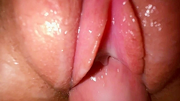 Fode a esposa gostosa do roommate e enche a xota de porra cremosa.