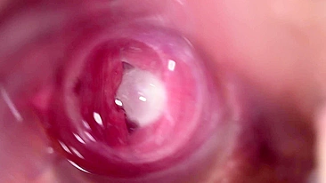 Close interno na buceta molhada e apertada da Lena.