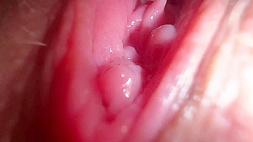 Gata sexy recebendo oral em alta definição.