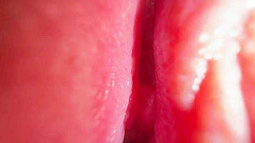 Gata sexy recebendo oral em alta definição.