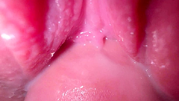 Transeei gostoso com a mulher do meu irmão e ela adorou.