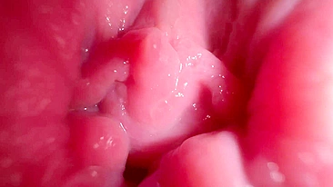 Seduz o parceiro com papo sujo mostrando partes íntimas em close.