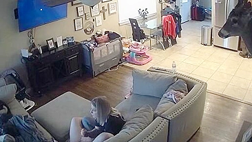 Vídeo Vazado de Cam Espiã Mostrando Namorada Punhetando Pau Pulsante