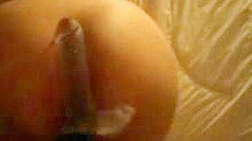 Masturbação caseira com legumes - Amadora bunduda no pornô