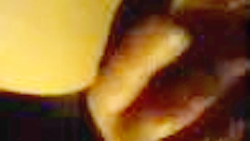 Gordinha morena amadora se masturbando suja, esfregando a buceta, gemendo e gozando