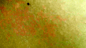 MILF russa esposa se masturbando amadora em casa