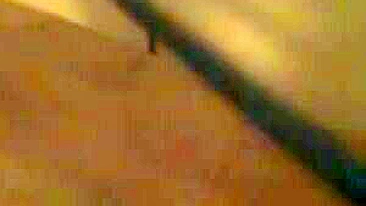 Sexo Caseiro com Shemale e Amadores Bissexuais