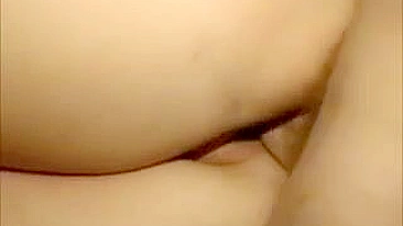 Esposa swinger amadora leva gozadas em orgia caseira