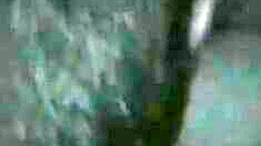 Ménage Bissexual Caseiro com Boquetes e Gozadas