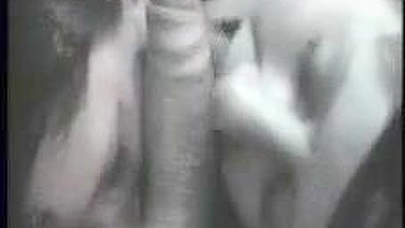 MILFs Chupando e Lambendo Pau em Ménage Amador Caseiro de Boquete