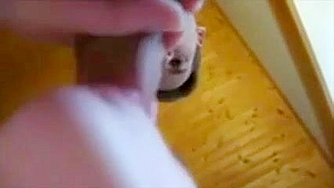 Compilação de Boquetes em Ménage Caseiro