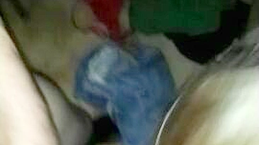 Ménage Lésbico Swingueiro Amador - Vídeo Caseiro de Grupo